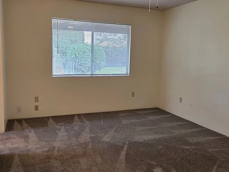 3824 Christmas Tree Ln — Photo 19