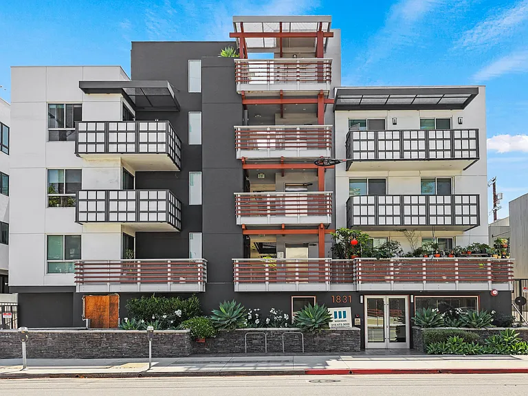 Sawtelle Pearl by Wiseman