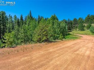 158 Rattler Ct, Cripple Creek, CO 80813