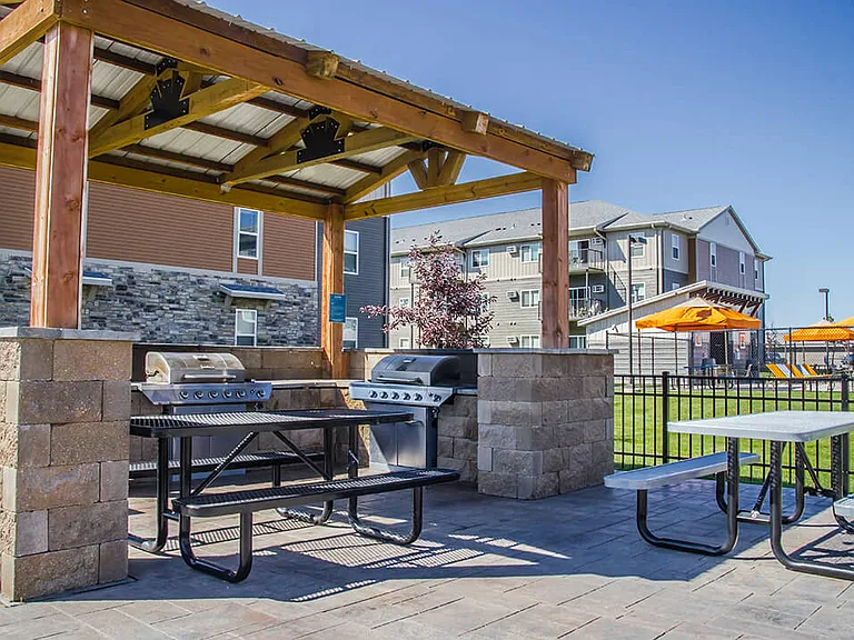 Barbecue and Picnic Area