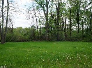 10 Parkway Path, Chippewa Lake, OH 44215