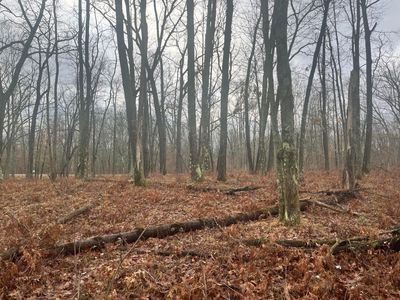 0 N Woodbridge Ave, Merrill Twp, MI, 49309