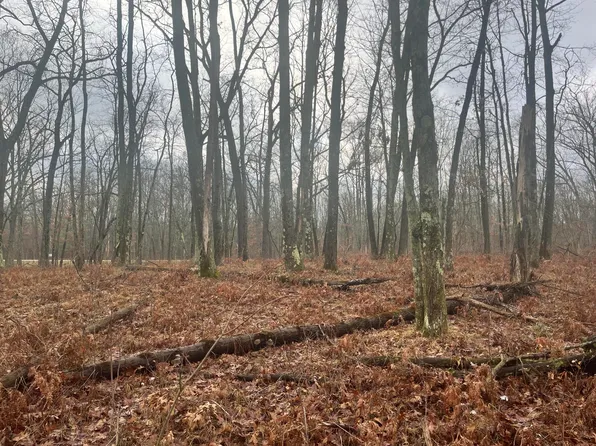 0 N Woodbridge Ave, Merrill Twp, MI 49309