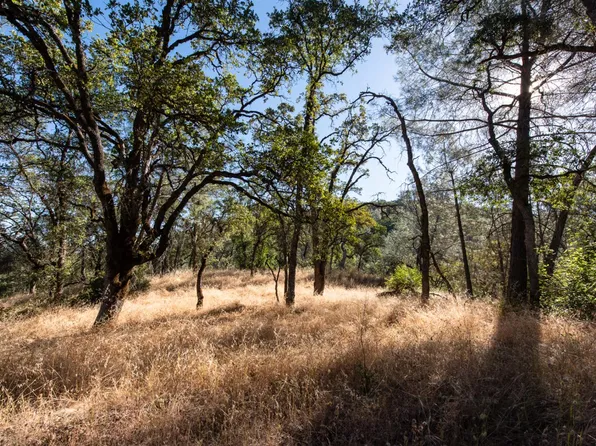 1031 Trails End Dr, Placerville, CA 95667
