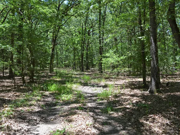 County Road 14590, Pattonville, TX 75468