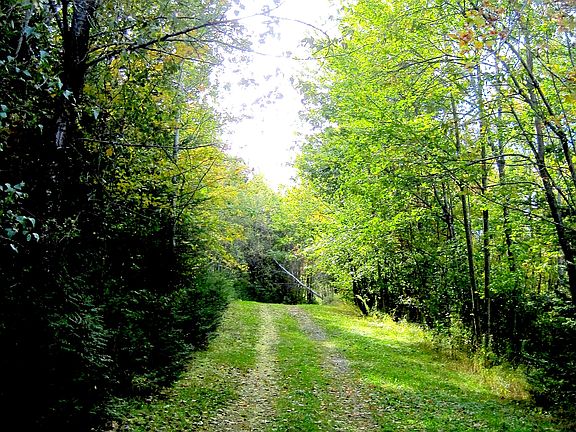 109 Acres of hiking trails!