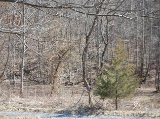 Poor Valley Road, Rose Hill, VA 24281