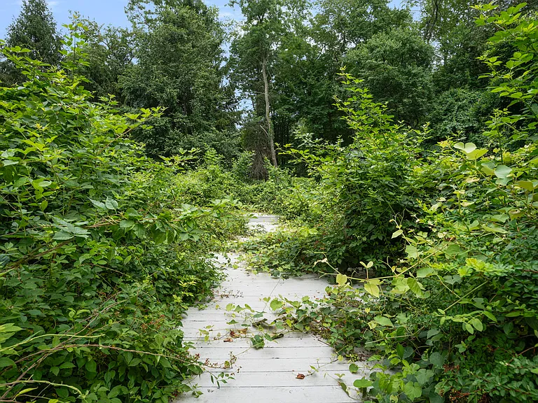 1515 South Rd — Photo 43