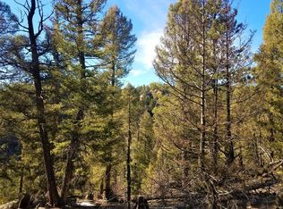 3578 N Mountain Estates Rd, Florissant, CO 80816