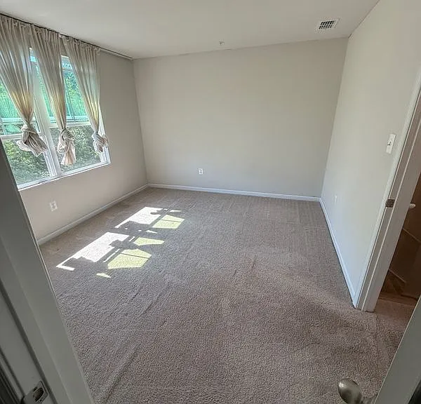 202 Red Bill Ln — Photo 11