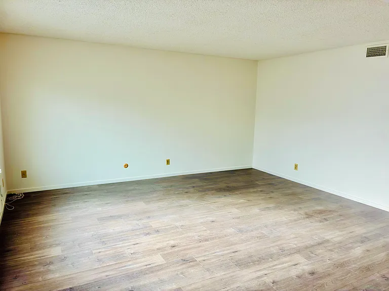 247 20th Ave #1 — Photo 5
