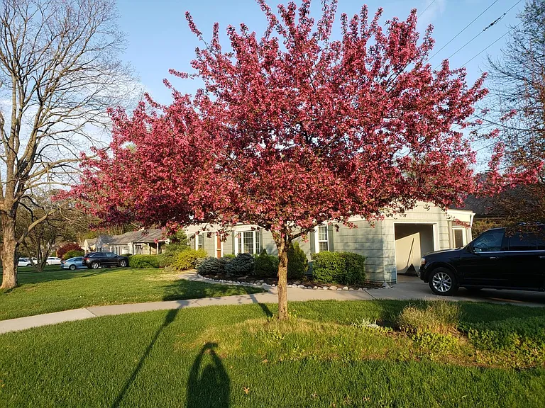2215 Somerset Dr — Photo 2