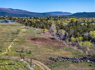 TBD NE Fir Street, Cedaredge, CO 81413
