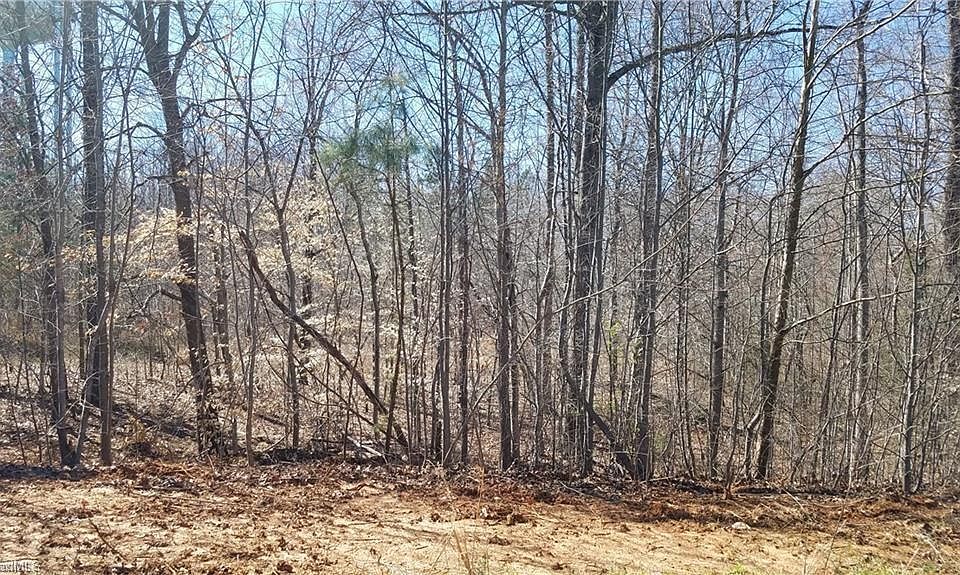 2nd image of 185 Lester Dr