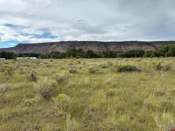 TBD County Road D.5, Antonito, CO 81120