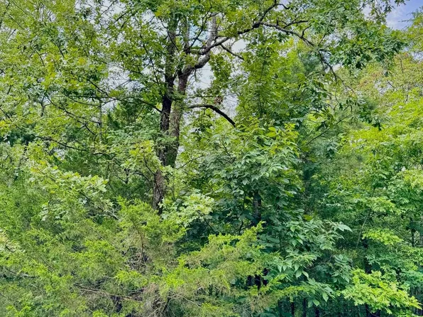(undisclosed Address), Heber Springs, AR 72543
