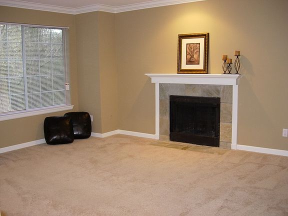 Living room with fireplace