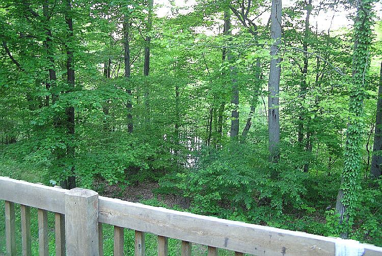 1st image of 2934 Deer Fly Ln