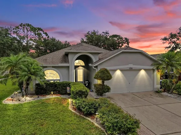 11302 Crane Lake Ct, Riverview, FL 33569