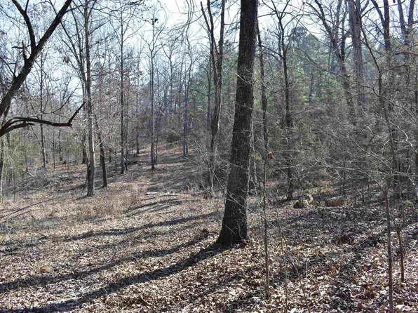 (undisclosed Address), Calico Rock, AR 72519
