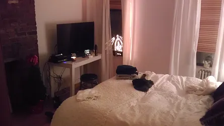 Rented by J Misrahi Realty Corp