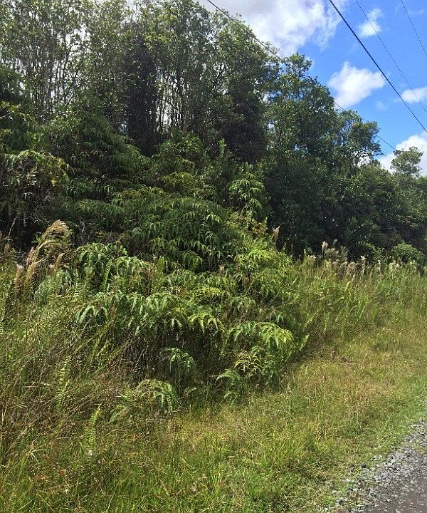 1st image of Jungle King Ave Lot 69