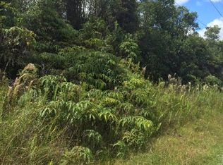 Jungle King Ave LOT 69, Volcano, HI 96785