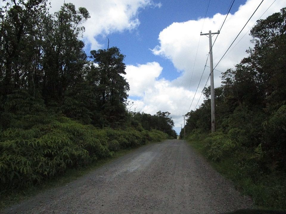 2nd image of Jungle King Ave Lot 57