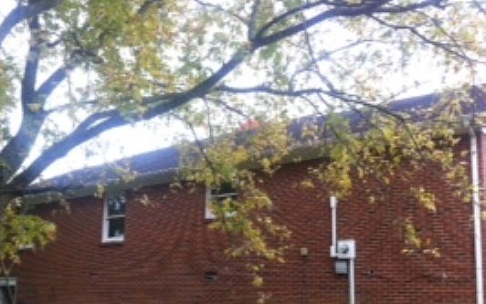 2nd image of 323 Pitt Ln