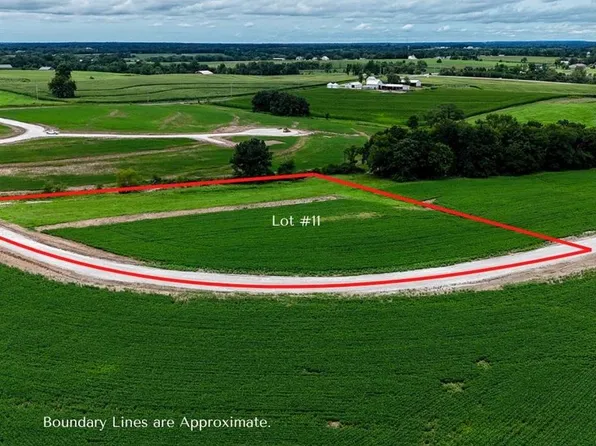 239 Autumn Hallow Ct, Old Monroe, MO 63369