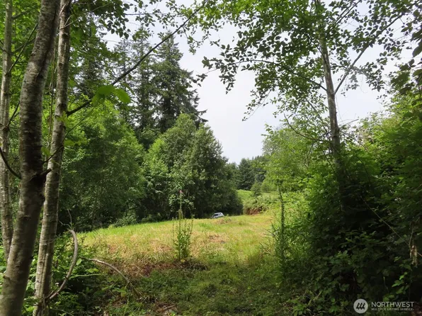 0 XXX Coleman Road, Mossyrock, WA 98564