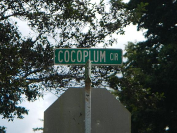5th image of 3109 Cocoplum Cir #33111
