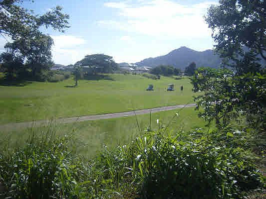 3rd image of Wiliko St Lot 1614