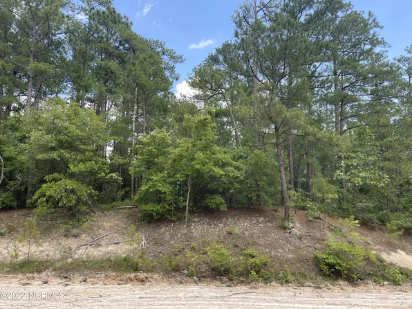 1047 Sorrel Drive, Vass, NC 28394