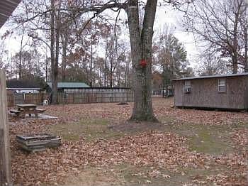 2nd image of 24713 Tammy Dr
