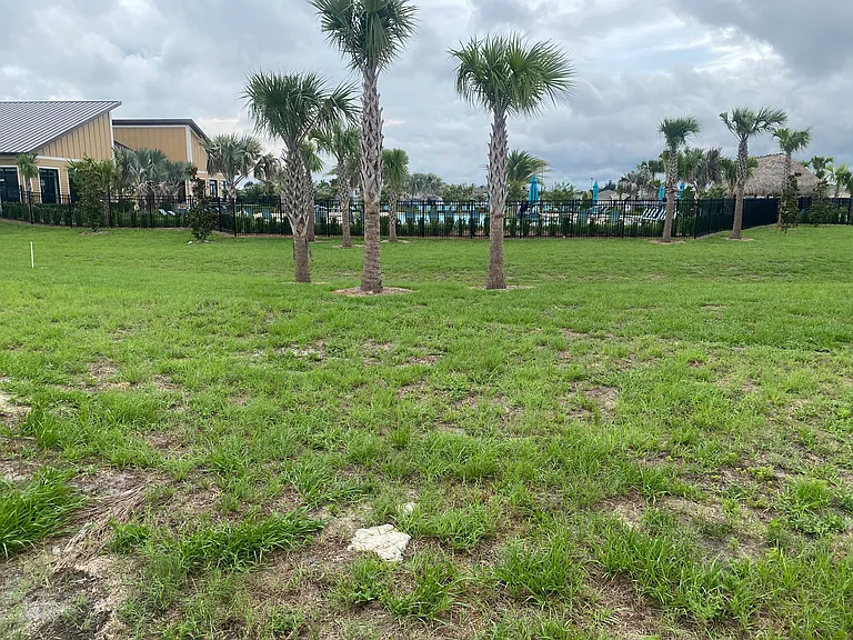 COMMUNITY POOL