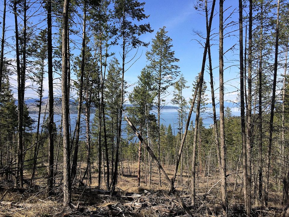 2nd image of Nhn Rocky Point Rd