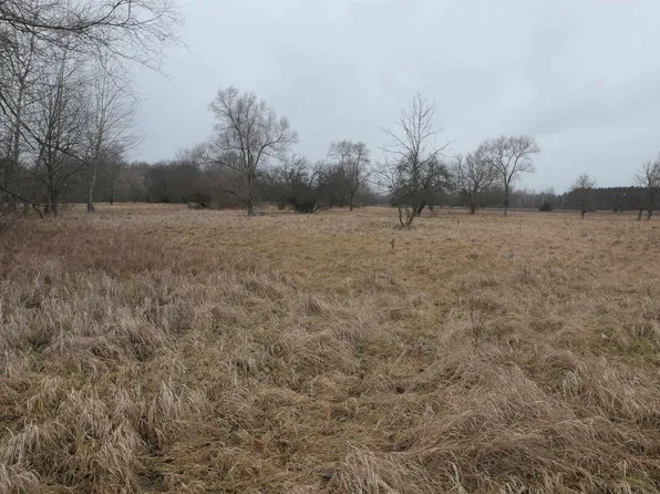 Pine St, Sumner, MI 48889