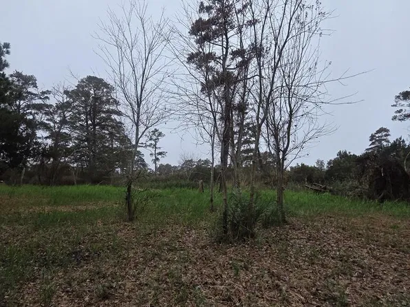 Resi 93j Lekites #3, Chincoteague Island, VA 23336