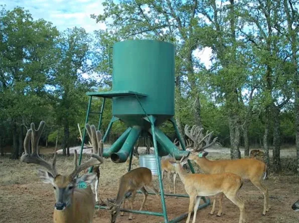 5970 Highway 569, Cisco, TX 76437