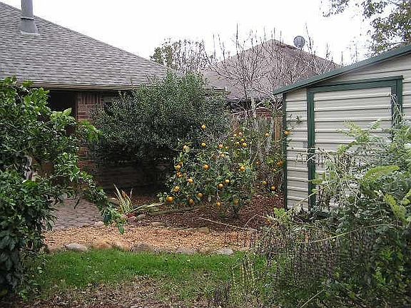 Back Yard/Fruit Trees