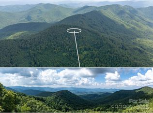 99999 Billy Cove Rd, Candler, NC 28715