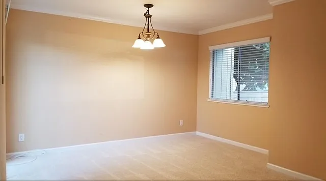 81 Knight Ln — Photo 4