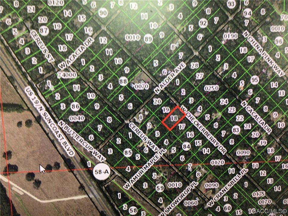 2nd image of 12560 W Checkerberry Dr