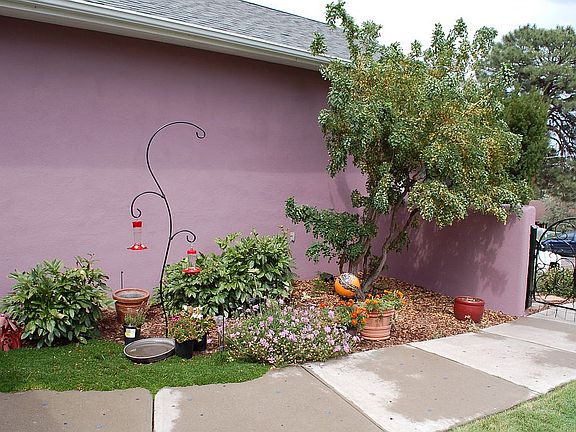 Switched outlet/lights