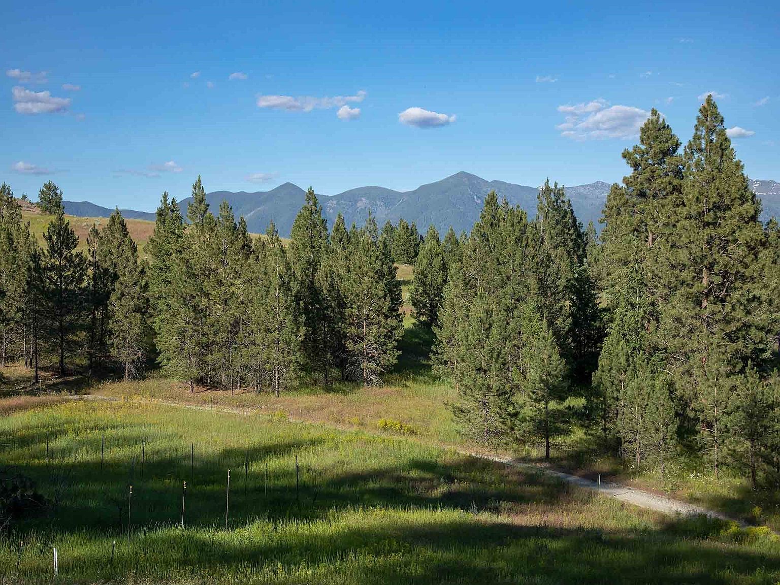 610 Koocanusa Estates Dr, Eureka, MT 59917 Zillow