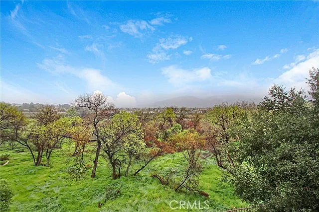 31293 Taylor Ln — Photo 3