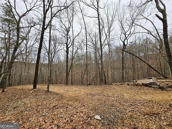 4th image of 1344 Brushy Mountain Rd #1