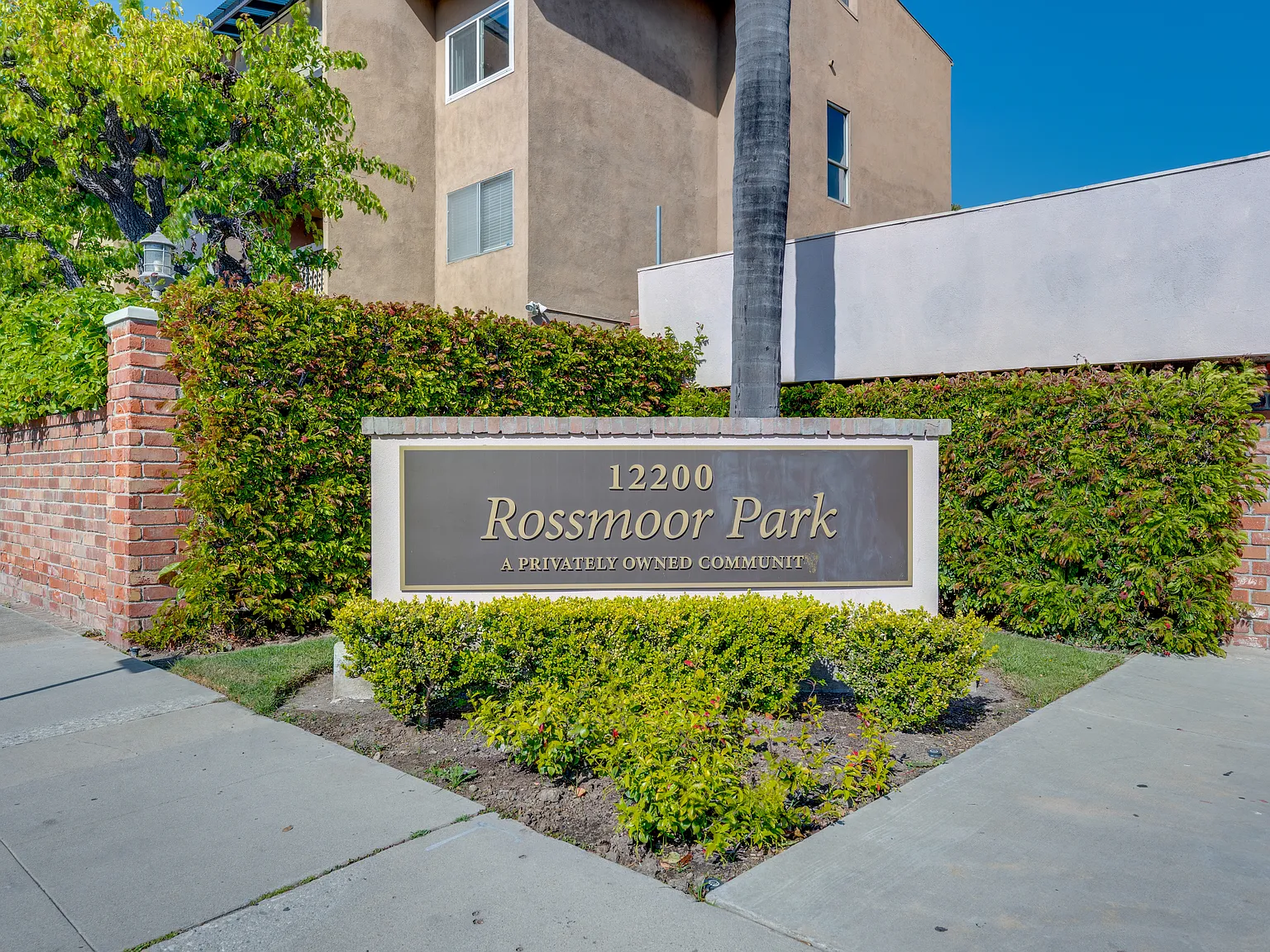 3 bed, 1124 sqft, $3,950 — Photo 4