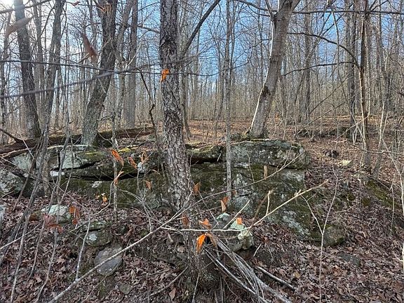 5th image of 2 Plumlee Rd